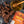 Load image into Gallery viewer, Sea Salt and Honey Pepper Beef Jerky
